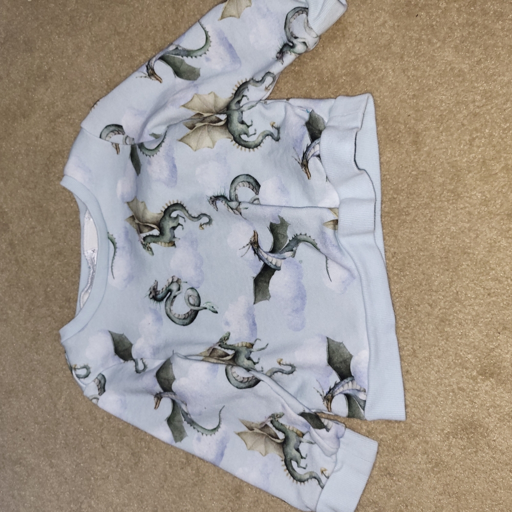 Dragon Print Sweatshirt